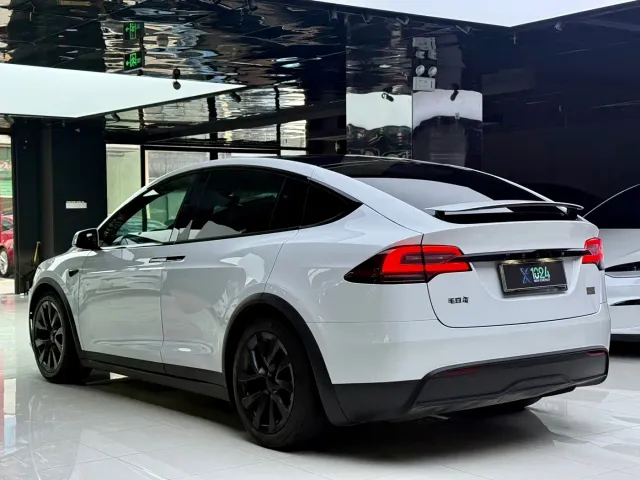 Tesla Model X — Фото автомобиля 17