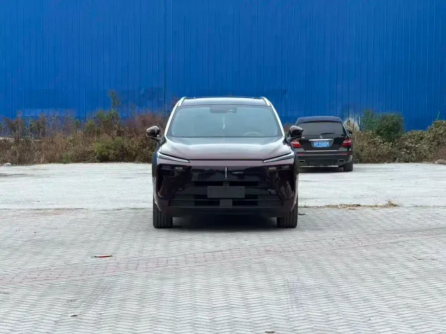 Wey Lanshan — Фото автомобиля 4