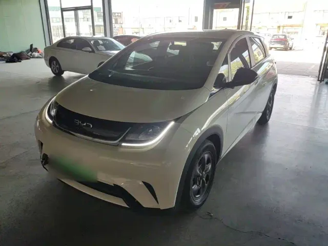 Фотография автомобиля — BYD Dolphin
