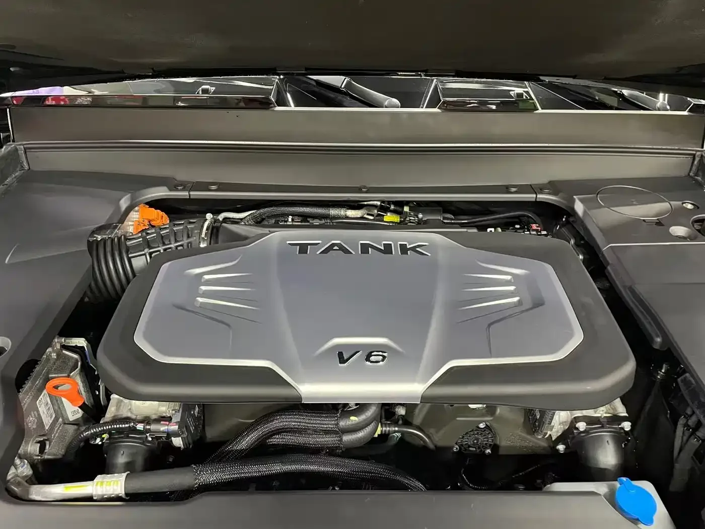 Tank Tank 700 New Energy 2024 Hi4-T Extreme Edition — Фото автомобиля 26