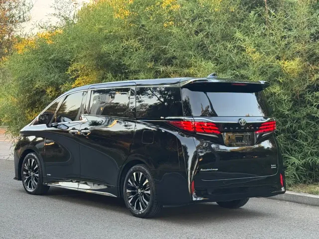 Toyota Alphard — Фото автомобиля 15