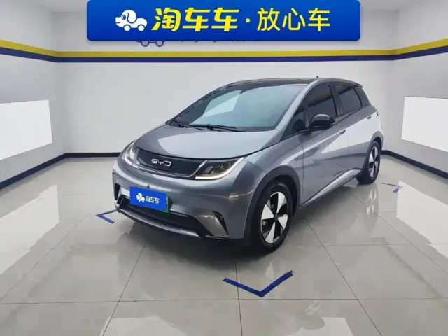 Фотография автомобиля — BYD Dolphin