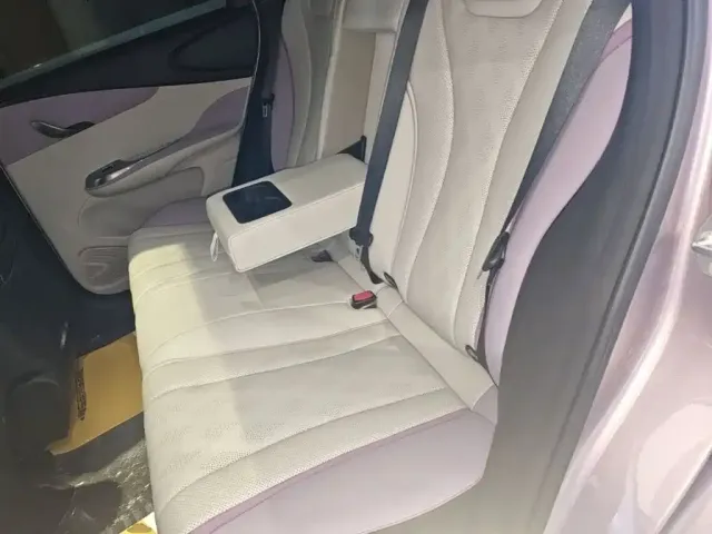 BYD Dolphin — Фото автомобиля 16