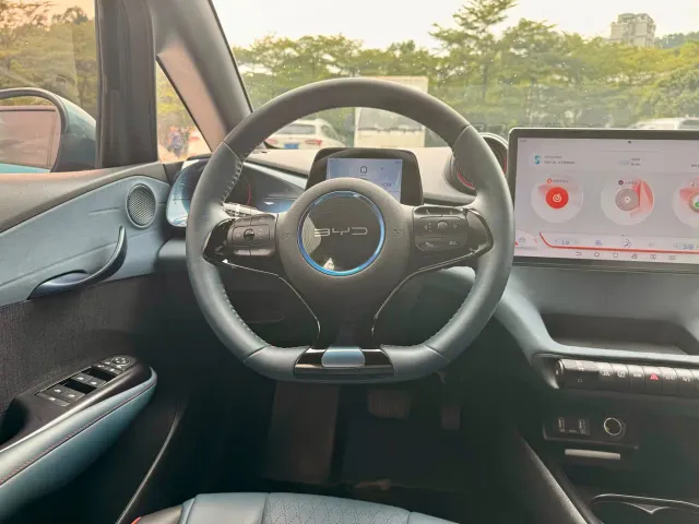 BYD Dolphin — Фото автомобиля 12