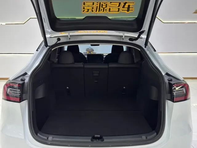 Tesla Model Y — Фото автомобиля 11