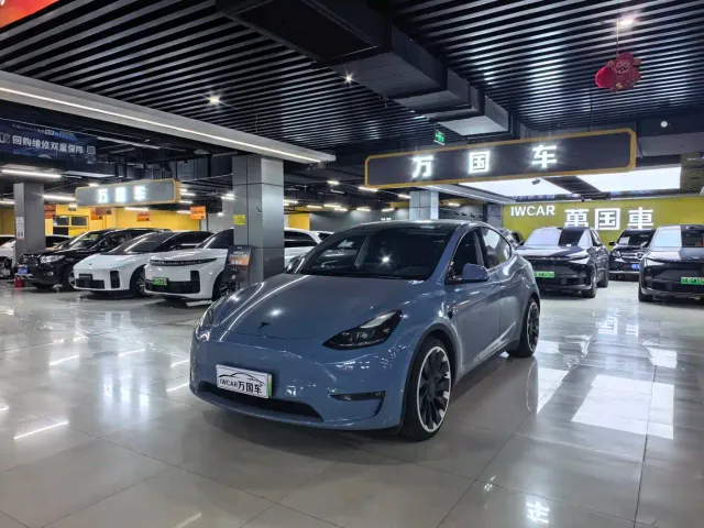 Tesla Model Y — Фото автомобиля 2