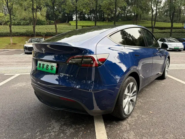 Tesla Model Y — Фото автомобиля 13