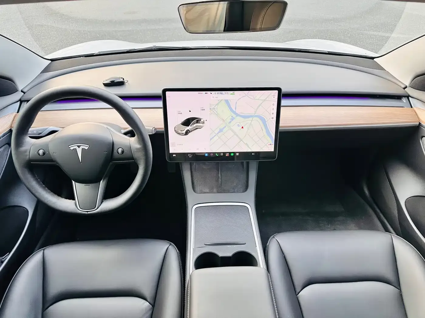 Tesla Model 3 2021 Facelift Standard Range RWD Upgrade 3D1 — Фото автомобиля 13