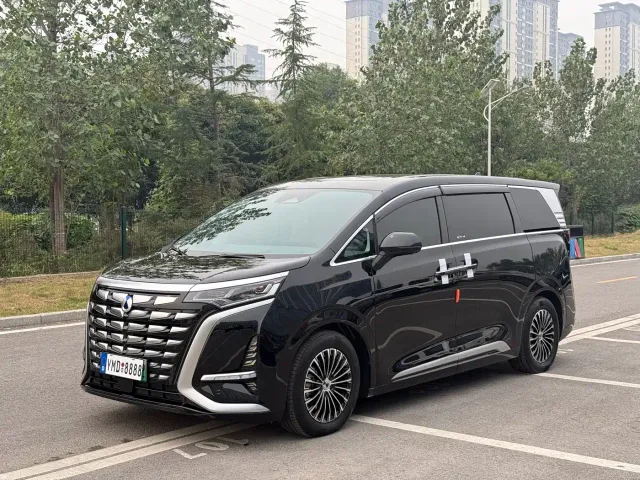 Фотография автомобиля — Denza D9
