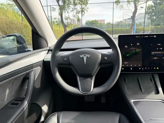 Tesla Model Y — Фото автомобиля 5