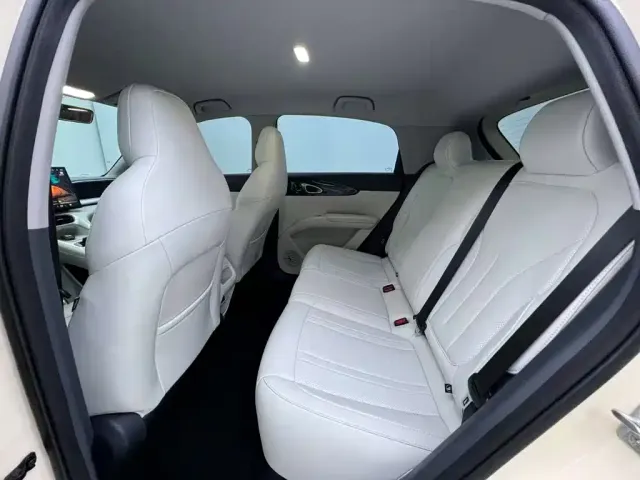 Geely Starry Wish — Фото автомобиля 6