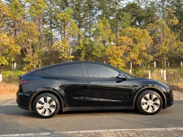 Tesla Model Y — Фото автомобиля 5