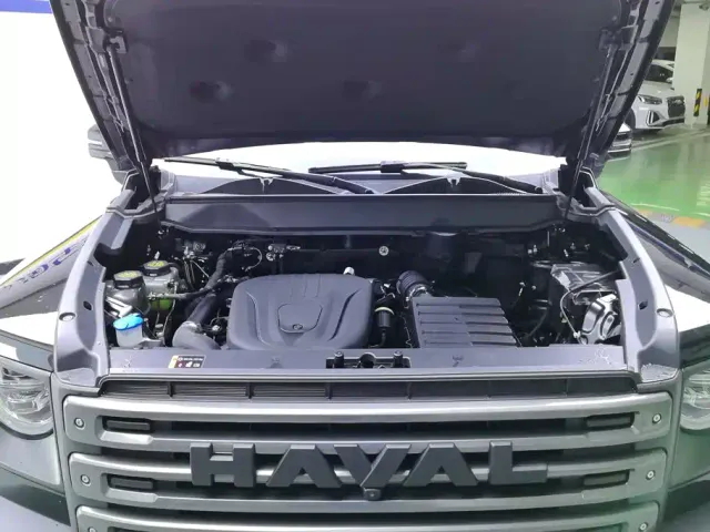 Haval Raptor — Фото автомобиля 10