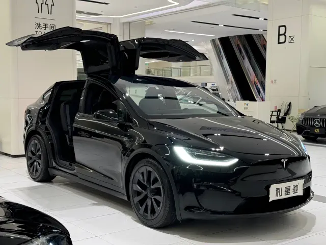 Tesla Model X — Фото автомобиля 2
