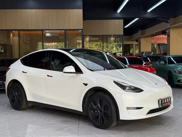 Tesla Model Y — Фото автомобиля 3