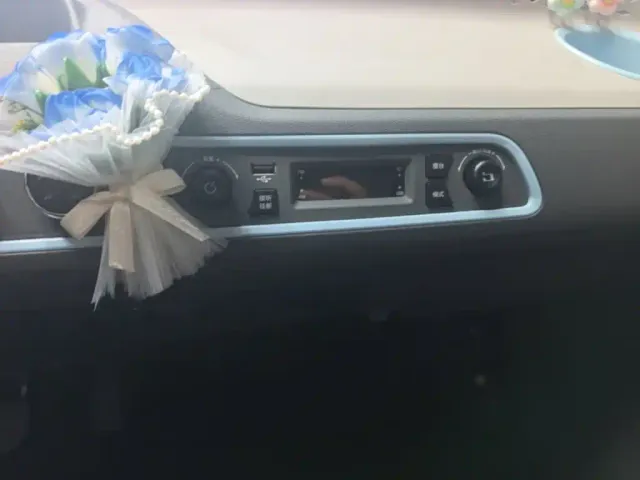 DFSK Mini EV — Фото автомобиля 12