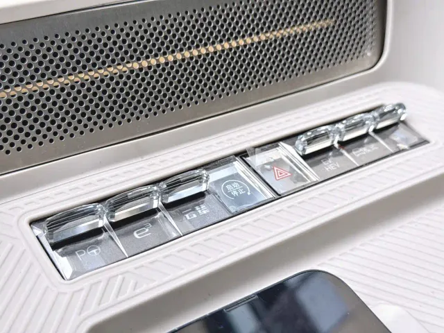 Denza N9 — Фото автомобиля 6