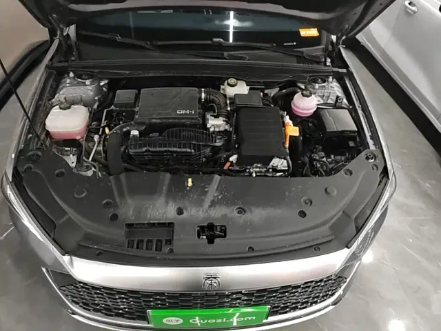 BYD Qin PLUS — Фото автомобиля 19