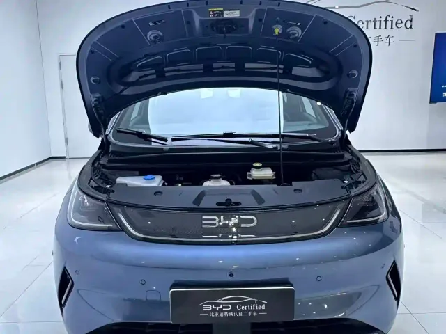 BYD Dolphin — Фото автомобиля 9