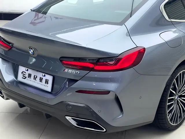 BMW 8 Series — Фото автомобиля 12