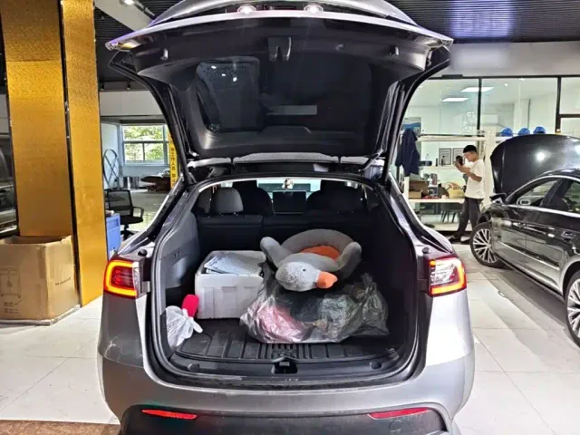 Tesla Model Y — Фото автомобиля 18