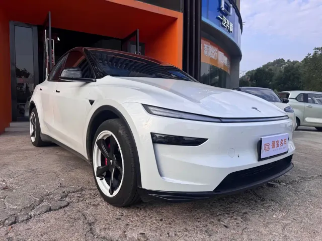 Tesla Model Y — Фото автомобиля 3