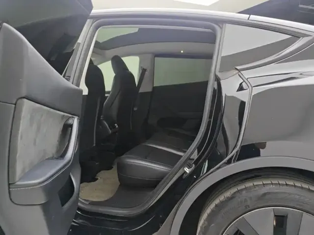 Tesla Model Y — Фото автомобиля 11