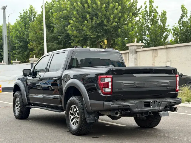 Ford F-150 Raptor — Фото автомобиля 14