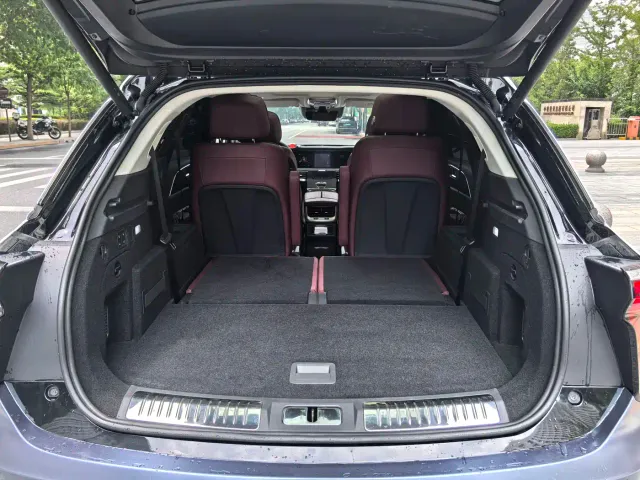Hongqi E-HS9 — Фото автомобиля 21