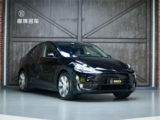 Tesla Model Y — Фото автомобиля 5