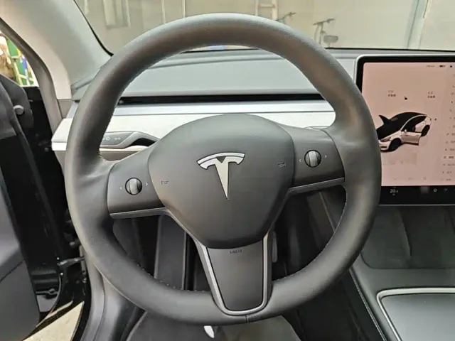 Tesla Model Y — Фото автомобиля 10