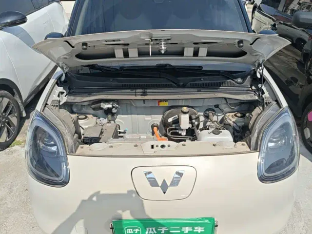 Wuling Hongguang Mini EV — Фото автомобиля 19