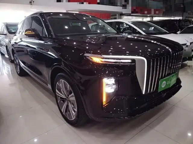 Hongqi E-HS9 — Фото автомобиля 3