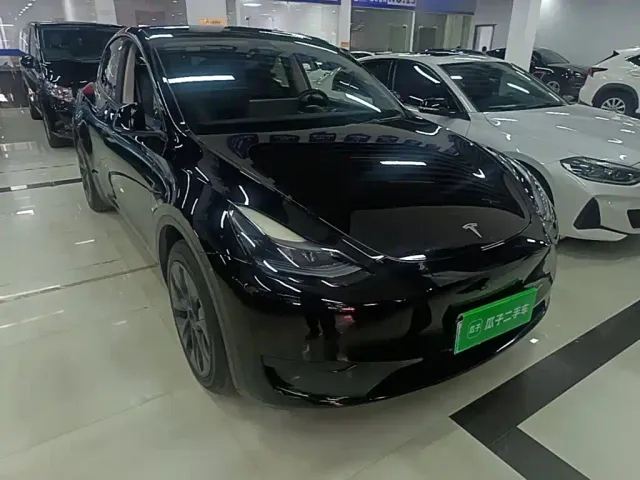 Tesla Model Y — Фото автомобиля 3