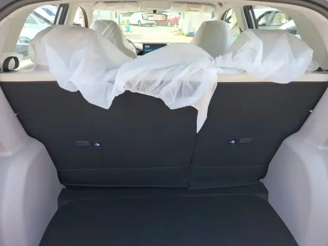 Geely Starry Wish — Фото автомобиля 12