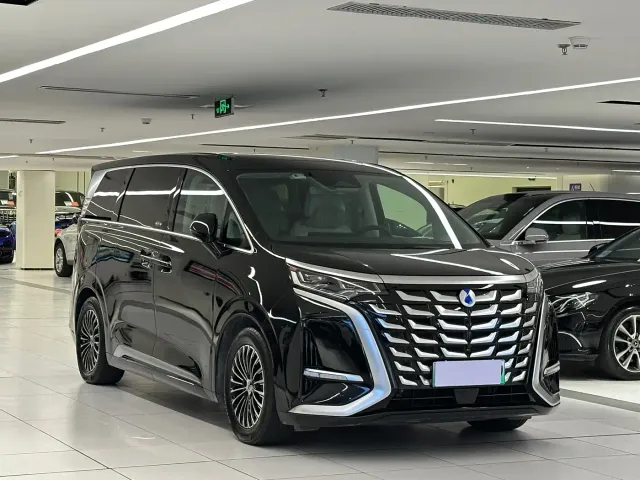 Denza D9 — Фото автомобиля 3