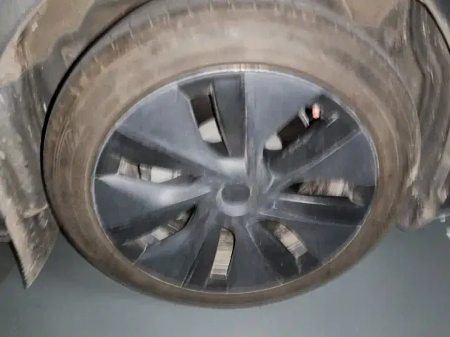Tesla Model Y — Фото автомобиля 5