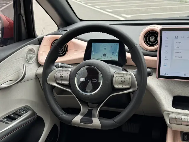 BYD Dolphin — Фото автомобиля 11