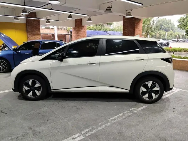 BYD Dolphin — Фото автомобиля 2