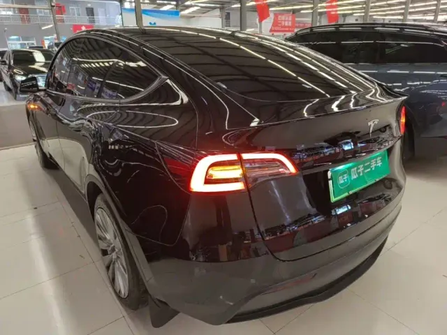 Tesla Model Y — Фото автомобиля 4