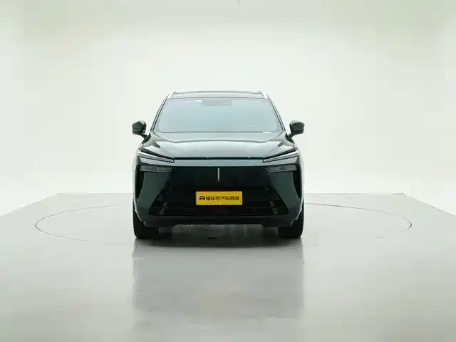 Wey Lanshan — Фото автомобиля 13