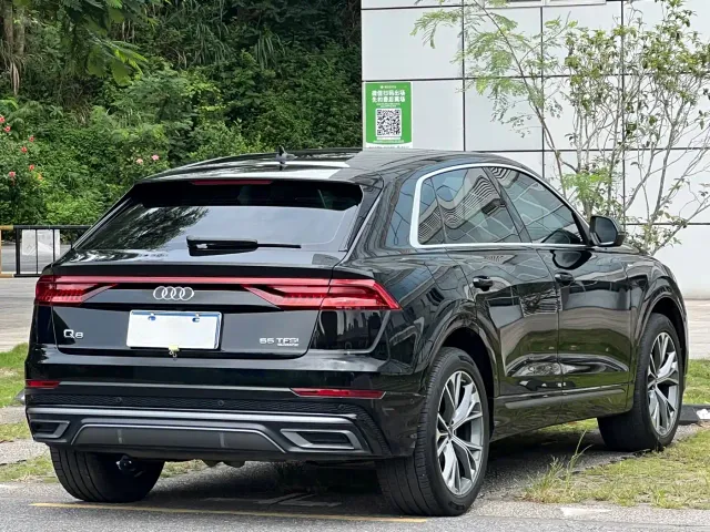 Audi Audi Q8 2023 55 TFSI Luxury Sport — Фото автомобиля 4