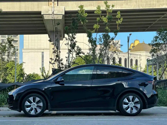 Tesla Model Y — Фото автомобиля 14