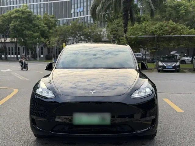 Tesla Model Y — Фото автомобиля 12