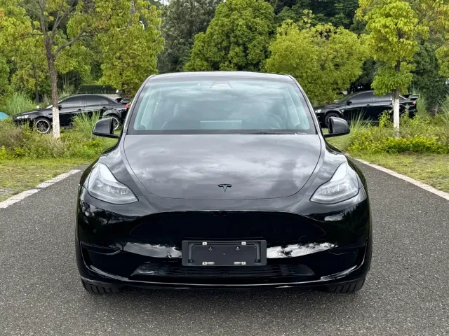 Tesla Model Y — Фото автомобиля 2
