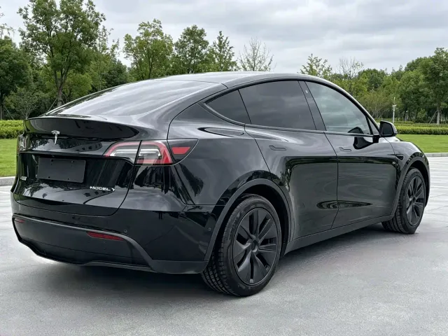 Tesla Model Y — Фото автомобиля 6