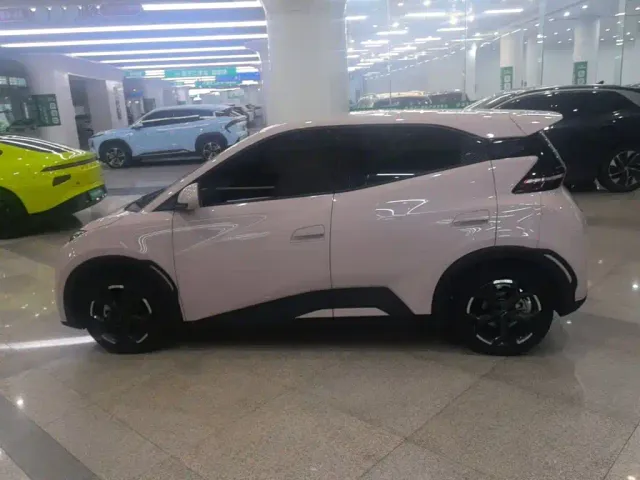 BYD Seagull — Фото автомобиля 5
