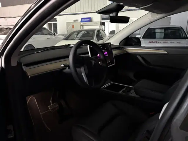 Tesla Model Y — Фото автомобиля 4