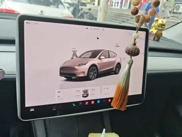 Tesla Model Y — Фото автомобиля 14