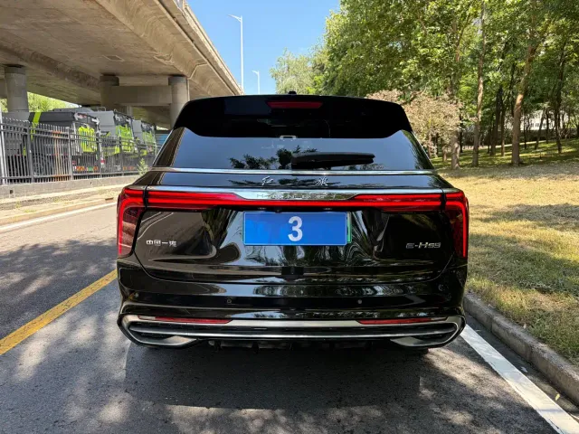 Hongqi E-HS9 — Фото автомобиля 10